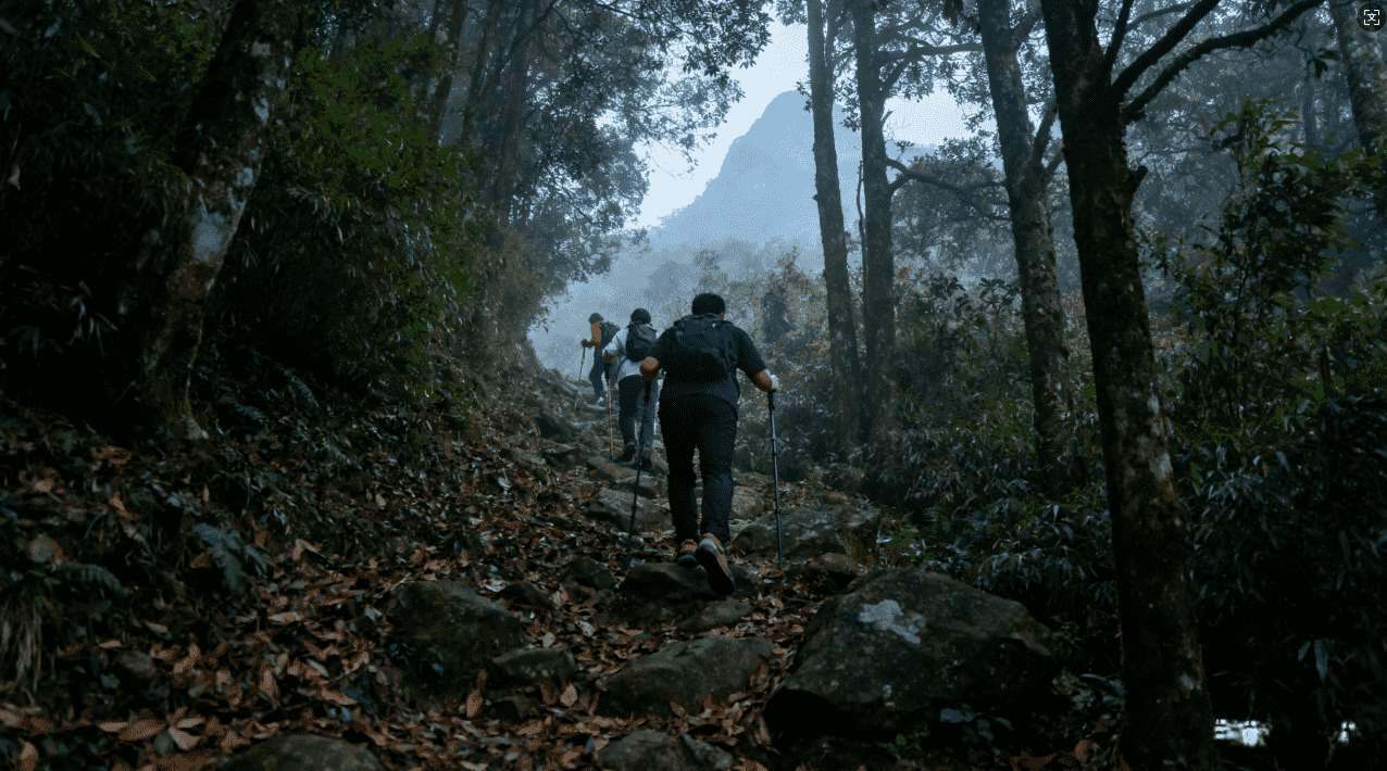 白鲸加速器使用常见问题及解决方案详解